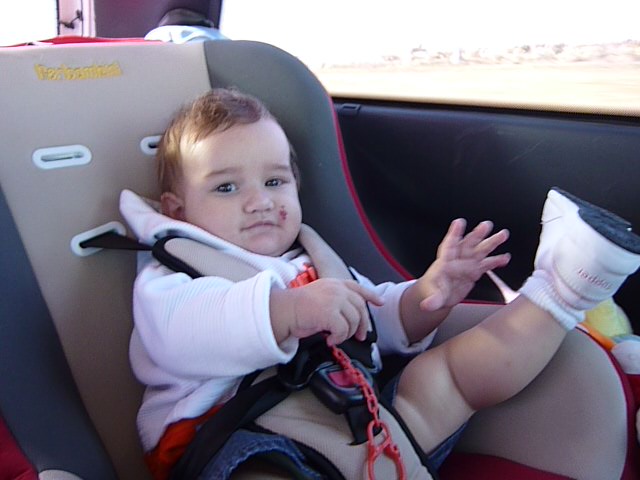 fotos/2011 - Los Reartes/P1010821.JPG